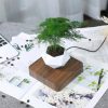 Magnetic Levitation Floating Pot Magnetic Levitation Floating Pot
