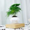 Magnetic Levitation Floating Pot Magnetic Levitation Floating Pot