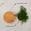 Magnetic Levitation Floating Pot Magnetic Levitation Floating Pot