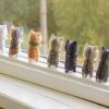 Make-Your-Own Kitty Kit