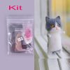 Make-Your-Own Kitty Kit