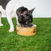 Mango Wood Dog Feeder Mango Wood Dog Feeder