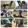 Metal Buckle Tactical Dog Harness Metal Buckle Tactical Dog Harness