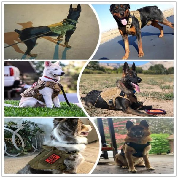 Metal Buckle Tactical Dog Harness Metal Buckle Tactical Dog Harness