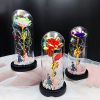 Milky Way Glass Dome Rose – Romantic Gift for Her Milky Way Glass Dome Rose – Romantic Gift for Her