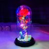 Milky Way Glass Dome Rose – Romantic Gift for Her Milky Way Glass Dome Rose – Romantic Gift for Her
