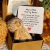 Mini Plush Teddy Bear Gift Box with Inspirational Card Mini Plush Teddy Bear Gift Box with Inspirational Card