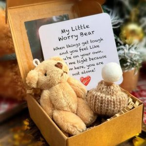 Mini Plush Teddy Bear Gift Box with Inspirational Card