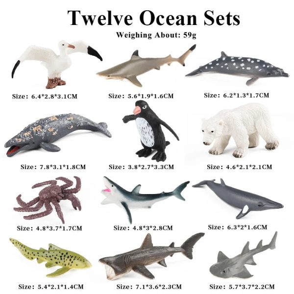 Montessori Miniature Lion Shark Horse Dinosaur Animals Model Set Action Figures Montessori Miniature Lion Shark Horse Dinosaur Animals Model Set Action Figures