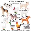 Montessori Miniature Lion Shark Horse Dinosaur Animals Model Set Action Figures Montessori Miniature Lion Shark Horse Dinosaur Animals Model Set Action Figures