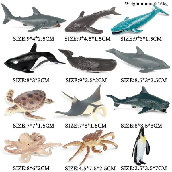 Montessori Miniature Lion Shark Horse Dinosaur Animals Model Set Action Figures Montessori Miniature Lion Shark Horse Dinosaur Animals Model Set Action Figures