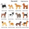 Montessori Miniature Lion Shark Horse Dinosaur Animals Model Set Action Figures Montessori Miniature Lion Shark Horse Dinosaur Animals Model Set Action Figures