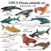 Montessori Miniature Lion Shark Horse Dinosaur Animals Model Set Action Figures Montessori Miniature Lion Shark Horse Dinosaur Animals Model Set Action Figures