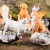 Montessori Miniature Lion Shark Horse Dinosaur Animals Model Set Action Figures Montessori Miniature Lion Shark Horse Dinosaur Animals Model Set Action Figures