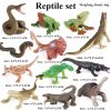 Montessori Miniature Lion Shark Horse Dinosaur Animals Model Set Action Figures Montessori Miniature Lion Shark Horse Dinosaur Animals Model Set Action Figures