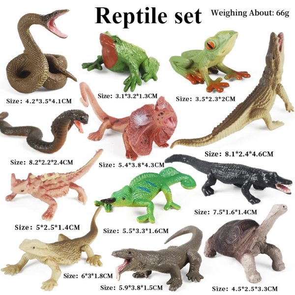 Montessori Miniature Lion Shark Horse Dinosaur Animals Model Set Action Figures Montessori Miniature Lion Shark Horse Dinosaur Animals Model Set Action Figures