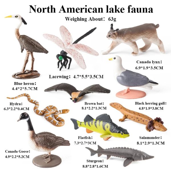 Montessori Miniature Lion Shark Horse Dinosaur Animals Model Set Action Figures Montessori Miniature Lion Shark Horse Dinosaur Animals Model Set Action Figures