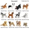 Montessori Miniature Lion Shark Horse Dinosaur Animals Model Set Action Figures Montessori Miniature Lion Shark Horse Dinosaur Animals Model Set Action Figures
