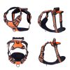 No-Pull Dog Harness With Handle No-Pull Dog Harness With Handle