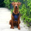 No-Pull Dog Harness With Handle No-Pull Dog Harness With Handle