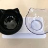 Non-Slip Double Cat Bowl Non-Slip Double Cat Bowl