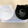 Non-Slip Double Cat Bowl Non-Slip Double Cat Bowl