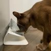 Non-Slip Double Cat Bowl Non-Slip Double Cat Bowl