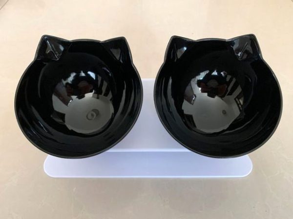 Non-Slip Double Cat Bowl Non-Slip Double Cat Bowl