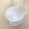 Non-Slip Double Cat Bowl Non-Slip Double Cat Bowl