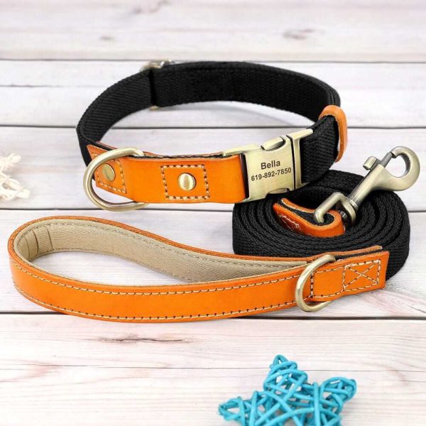 Nylon ID Dog Collar with Leash Nylon ID Dog Collar with Leash