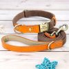Nylon ID Dog Collar with Leash Nylon ID Dog Collar with Leash