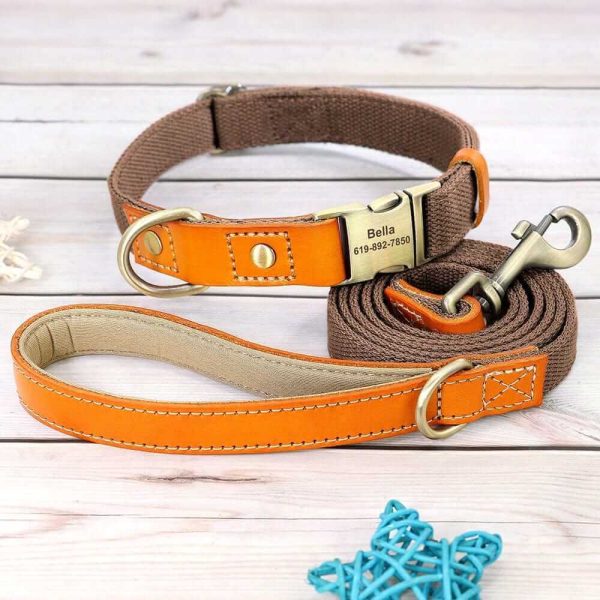 Nylon ID Dog Collar with Leash Nylon ID Dog Collar with Leash