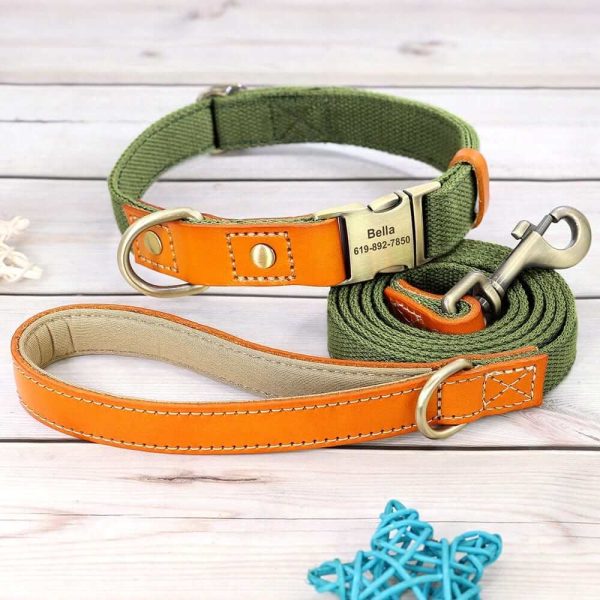 Nylon ID Dog Collar with Leash Nylon ID Dog Collar with Leash