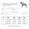 Nylon ID Dog Collar with Leash Nylon ID Dog Collar with Leash