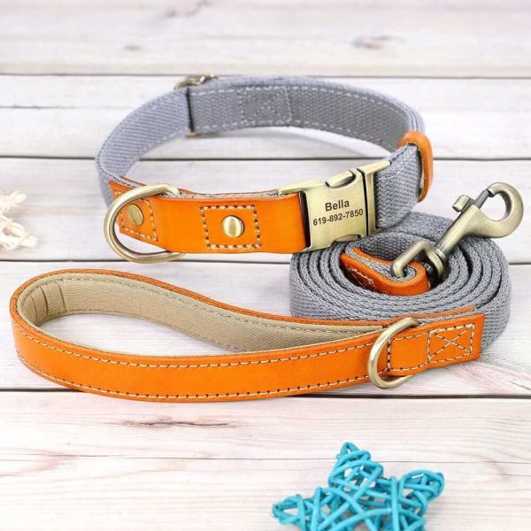 Nylon ID Dog Collar with Leash Nylon ID Dog Collar with Leash