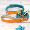 Nylon ID Dog Collar with Leash Nylon ID Dog Collar with Leash