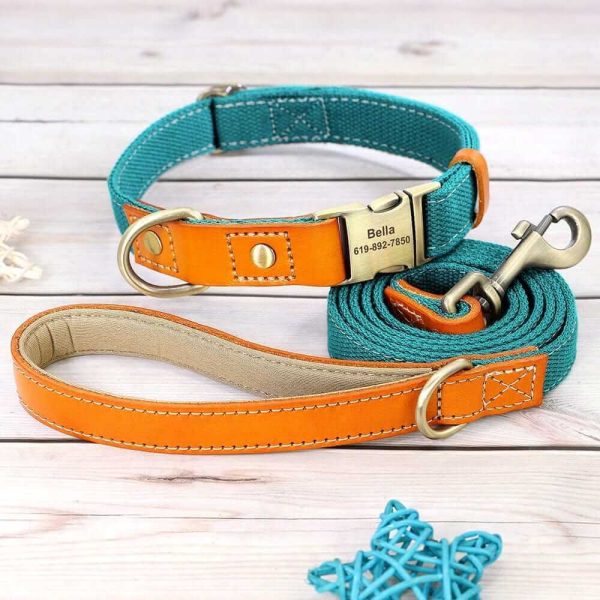Nylon ID Dog Collar with Leash Nylon ID Dog Collar with Leash