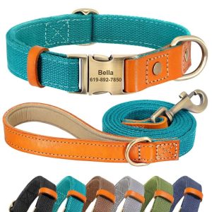 Nylon ID Dog Collar with Leash