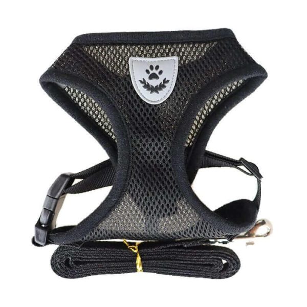 Nylon Mesh Dog Harness And Leash Nylon Mesh Dog Harness And Leash