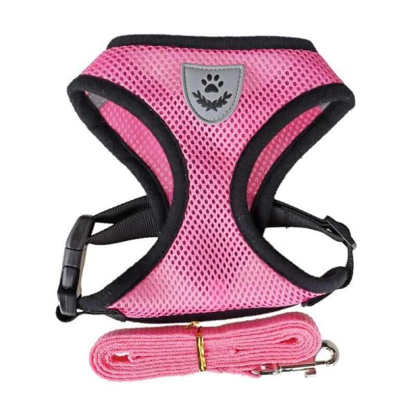 Nylon Mesh Dog Harness And Leash Nylon Mesh Dog Harness And Leash