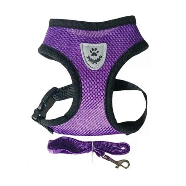 Nylon Mesh Dog Harness And Leash Nylon Mesh Dog Harness And Leash