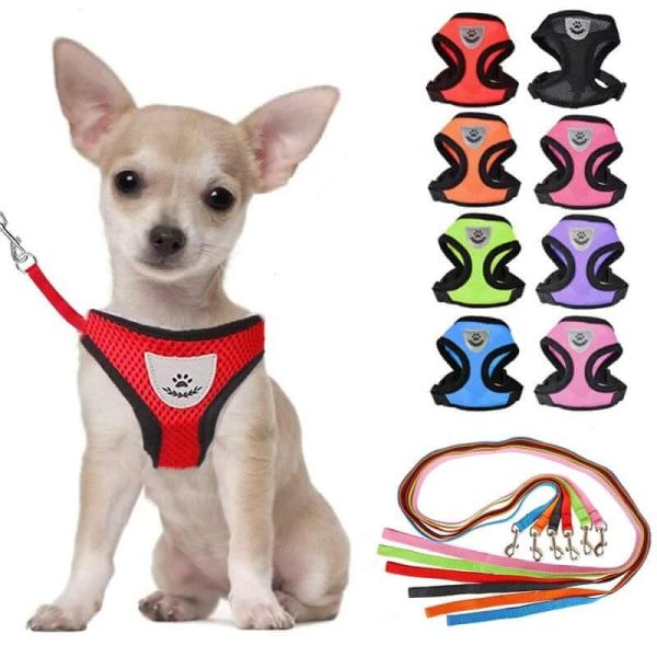 Nylon Mesh Dog Harness And Leash Nylon Mesh Dog Harness And Leash