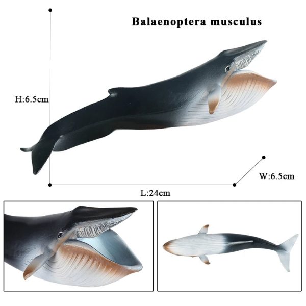Ocean Animal Action Figures Sea Life Model Ocean Animal Action Figures Sea Life Model