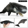 Ocean Animal Action Figures Sea Life Model Ocean Animal Action Figures Sea Life Model