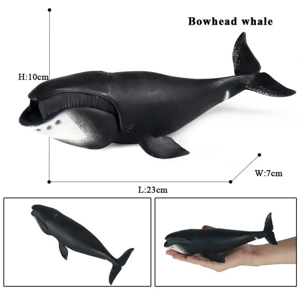 Ocean Animal Action Figures Sea Life Model Ocean Animal Action Figures Sea Life Model
