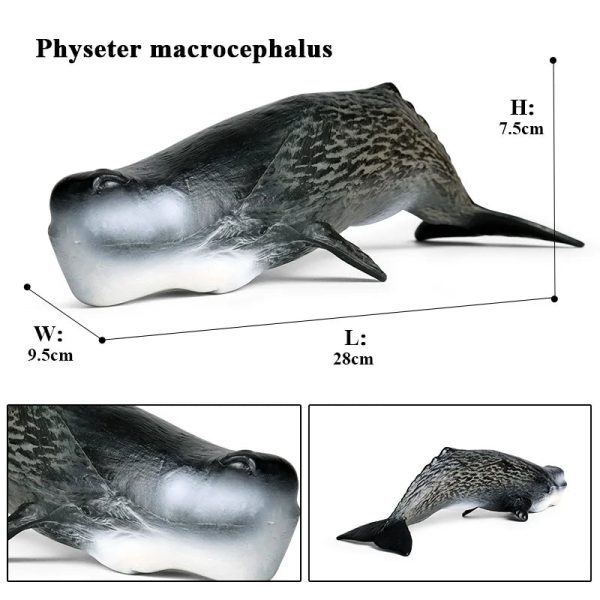 Ocean Animal Action Figures Sea Life Model Ocean Animal Action Figures Sea Life Model