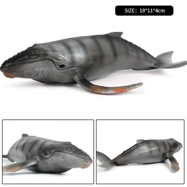 Ocean Animal Action Figures Sea Life Model Ocean Animal Action Figures Sea Life Model