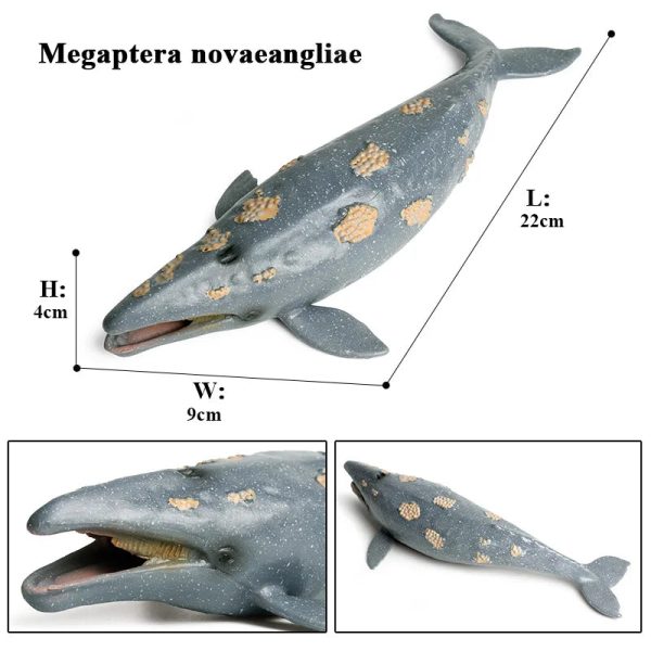 Ocean Animal Action Figures Sea Life Model Ocean Animal Action Figures Sea Life Model