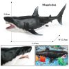 Ocean Animal Action Figures Sea Life Model Ocean Animal Action Figures Sea Life Model
