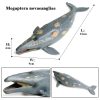 Ocean Animals Action Figures